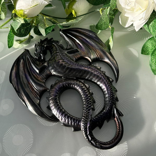 Dragon  view 3